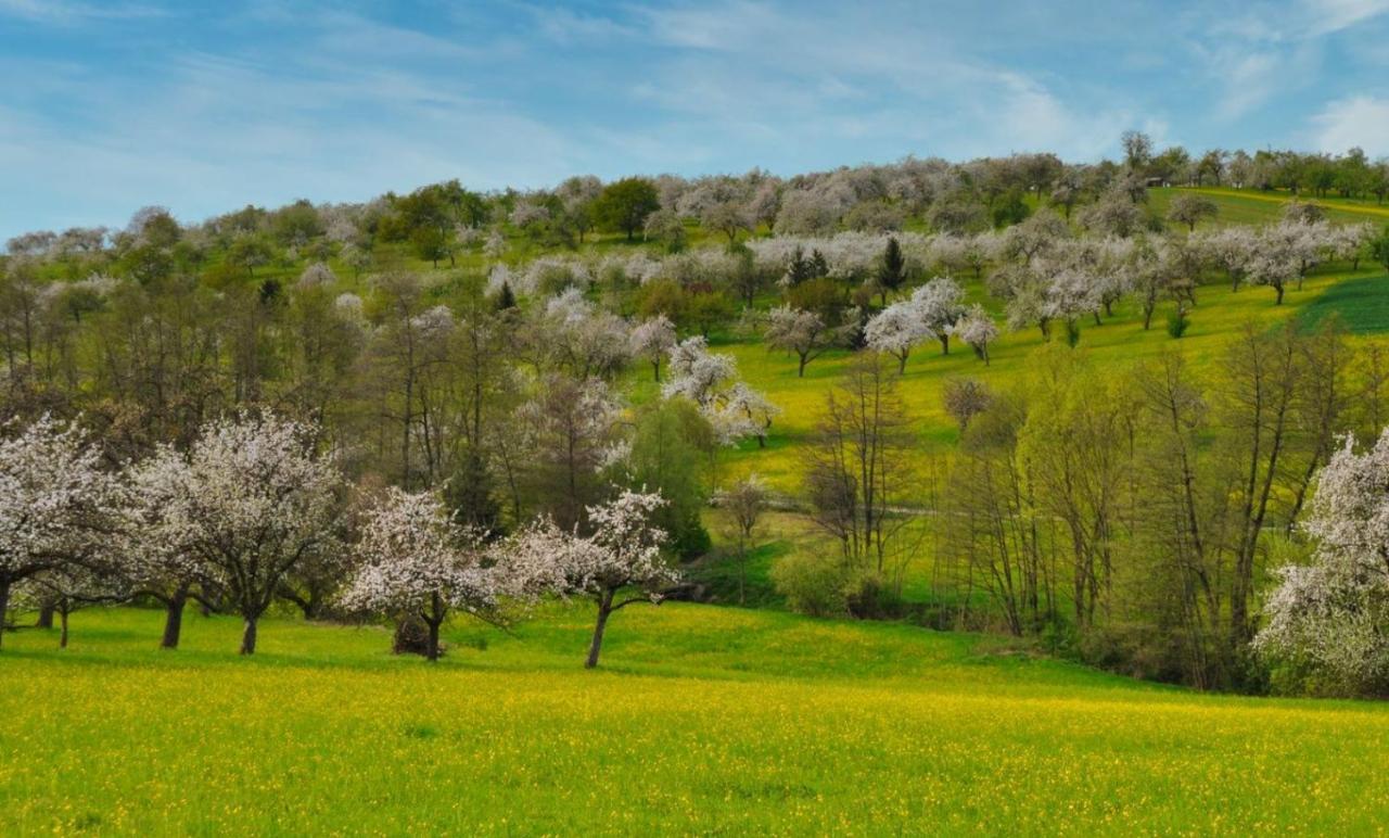 Ferienwohnung Milla Weissach im Tal Esterno foto